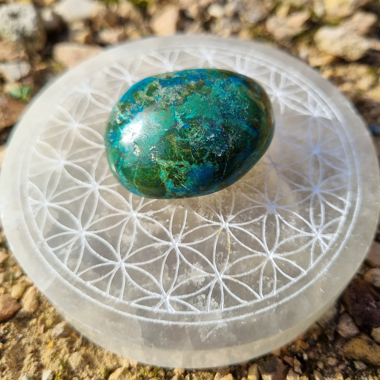 Chrysocolle