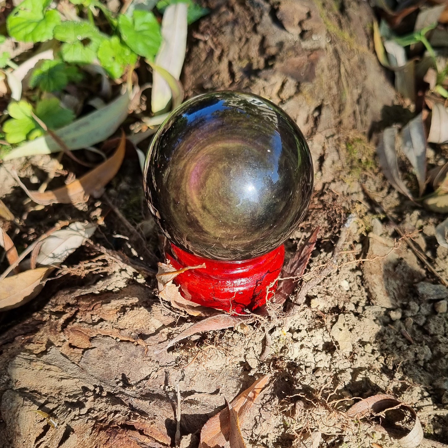 Obsidienne œil céleste (sphère)