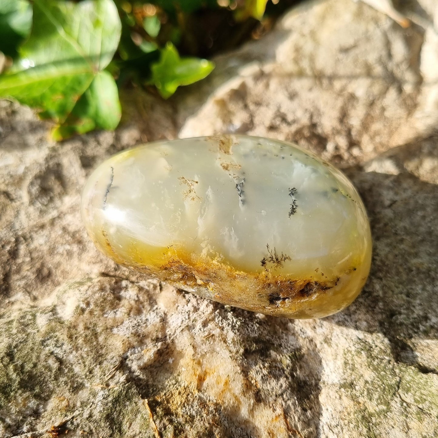 Opale dendritique en galet