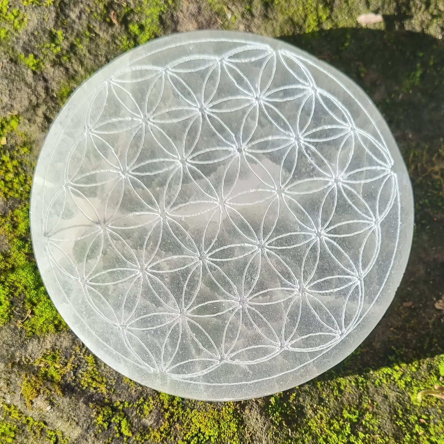 Disque sélénite fleur de vie