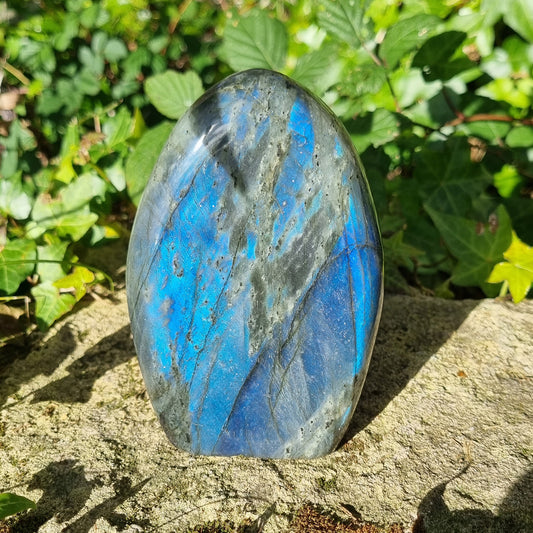 Labradorite (forme libre)