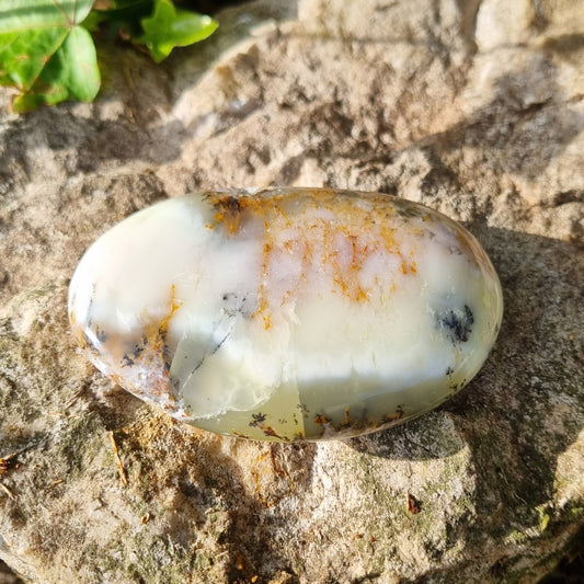 Opale dendritique en galet