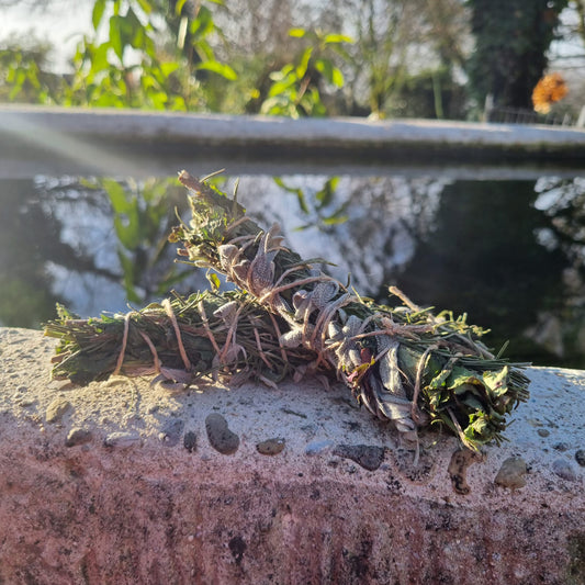 Bâton de Fumigation – Gardienne des 4 Vents (Romarin • Ortie • Mélisse • Sauge Officinale)