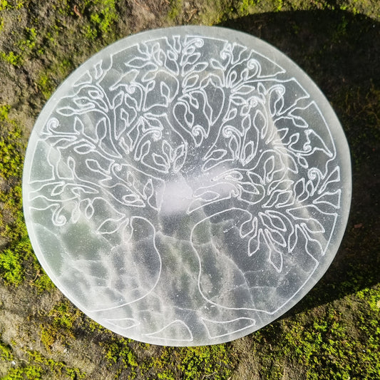 Disque de sélénite arbre de vie